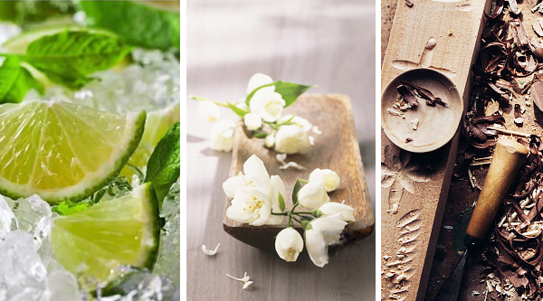 芝蘭空間,香氛系統(tǒng),空間香氛,香薰設(shè)備,香薰精油,香氛禮品定制