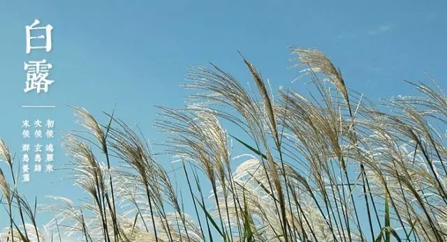 芝蘭空間,香氛系統(tǒng),空間香氛,香薰設(shè)備,香薰精油,香氛禮品定制