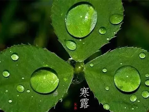 芝蘭空間,香氛系統(tǒng),空間香氛,香薰設(shè)備,香薰精油,香氛禮品定制