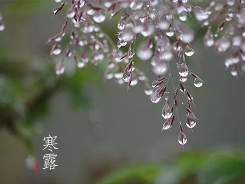 芝蘭空間,香氛系統(tǒng),空間香氛,香薰設(shè)備,香薰精油,香氛禮品定制
