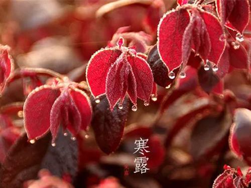 芝蘭空間,香氛系統(tǒng),空間香氛,香薰設(shè)備,香薰精油,香氛禮品定制