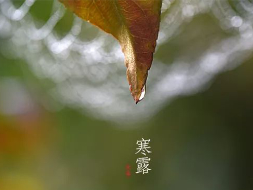芝蘭空間,香氛系統(tǒng),空間香氛,香薰設(shè)備,香薰精油,香氛禮品定制