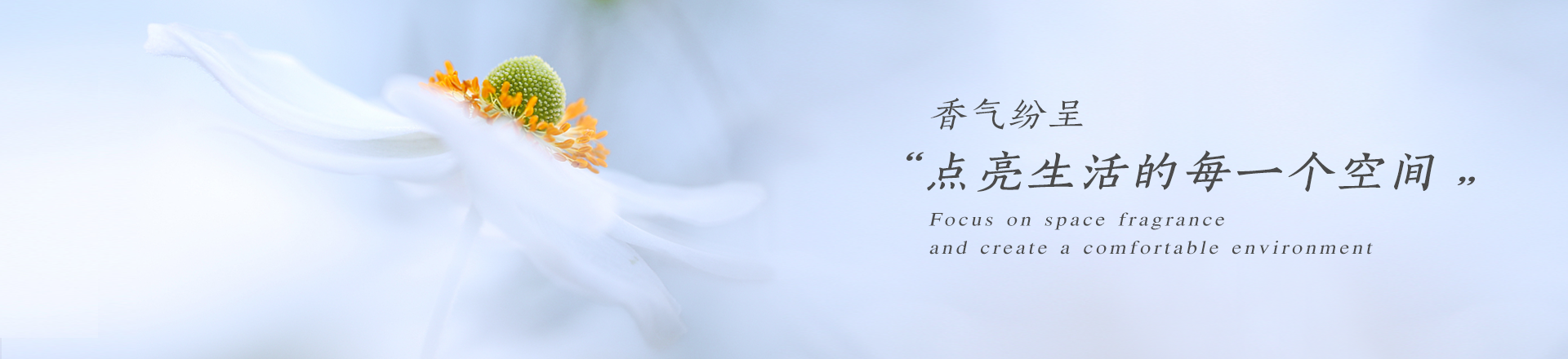 湖南芝蘭空間環(huán)保科技有限公司—空間香氛|凈化空間|擴香設(shè)備|香氛精油|香氛禮品定制