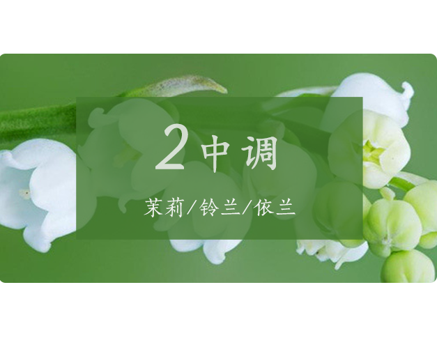芝蘭空間,香氛系統(tǒng),空間香氛,香薰設(shè)備,香薰精油,香氛禮品定制