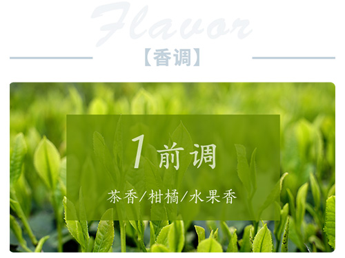 芝蘭空間,香氛系統(tǒng),空間香氛,香薰設(shè)備,香薰精油,香氛禮品定制 芝蘭空間,香氛系統(tǒng),空間香氛,香薰設(shè)備,香薰精油,香氛禮品定制